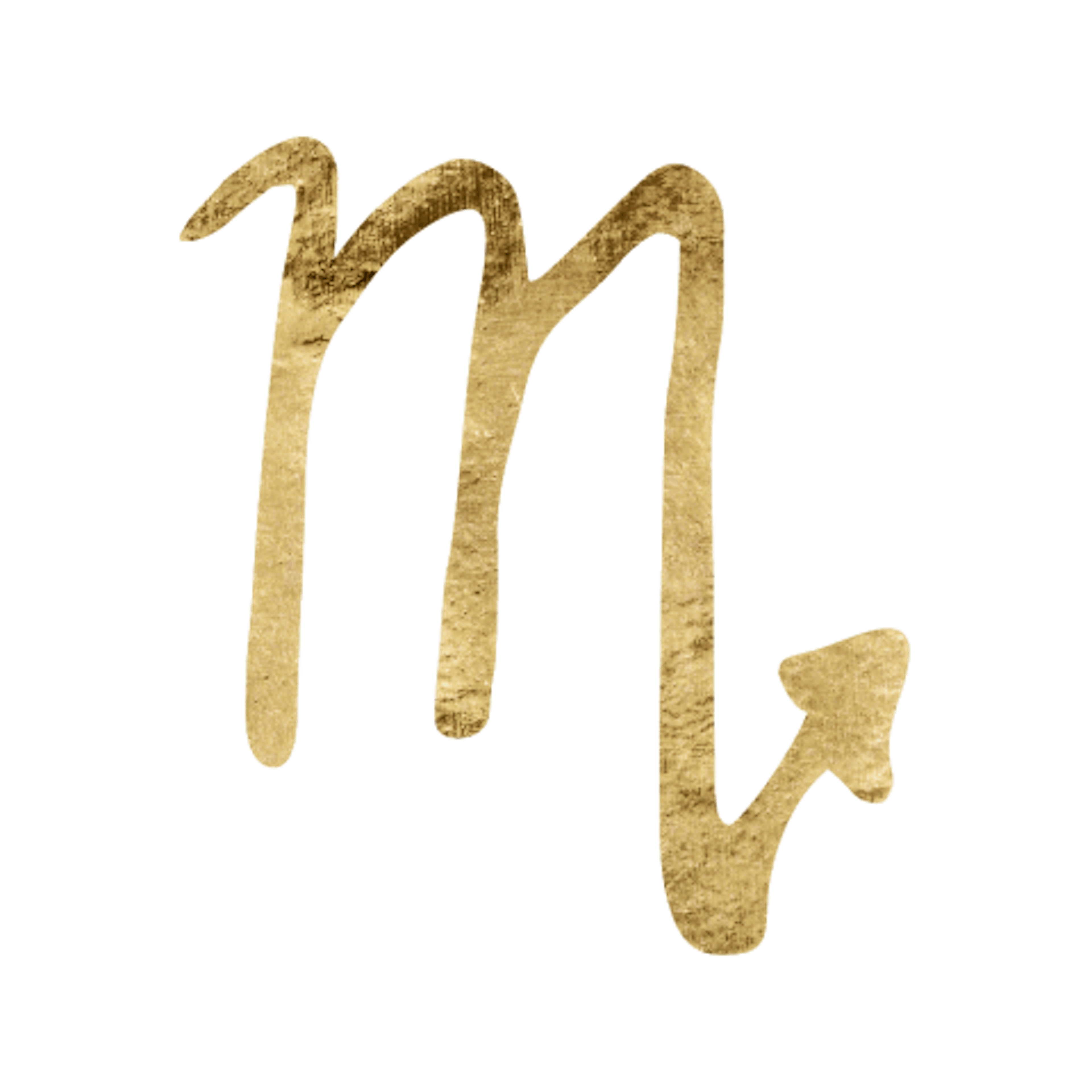 Scorpio Astrological Icon