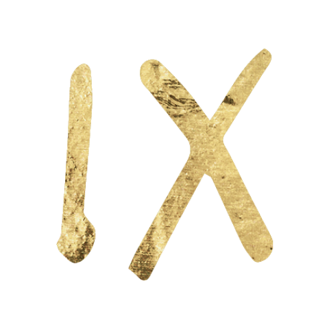 Ninth House in Astrology Icon