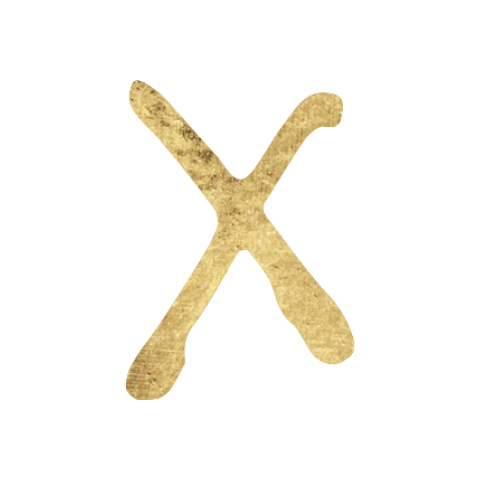 Tenth House in Astrology Icon