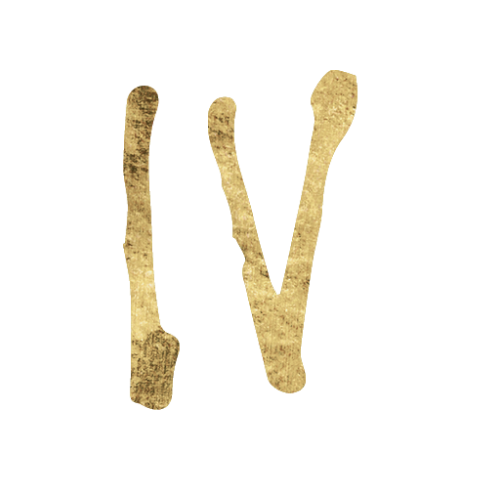 Fourth House in Astrology Icon