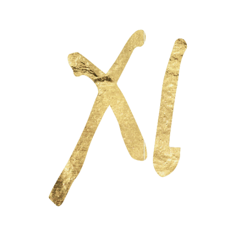 Eleventh House in Astrology Icon