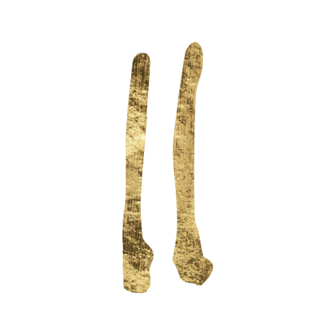 Second House in Astrology Icon